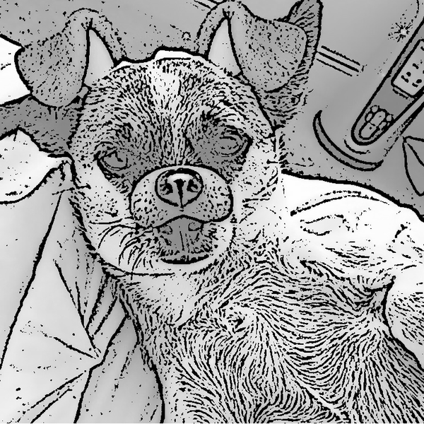 Lady B and Me: Relatable Dog Memes Adult Coloring Book